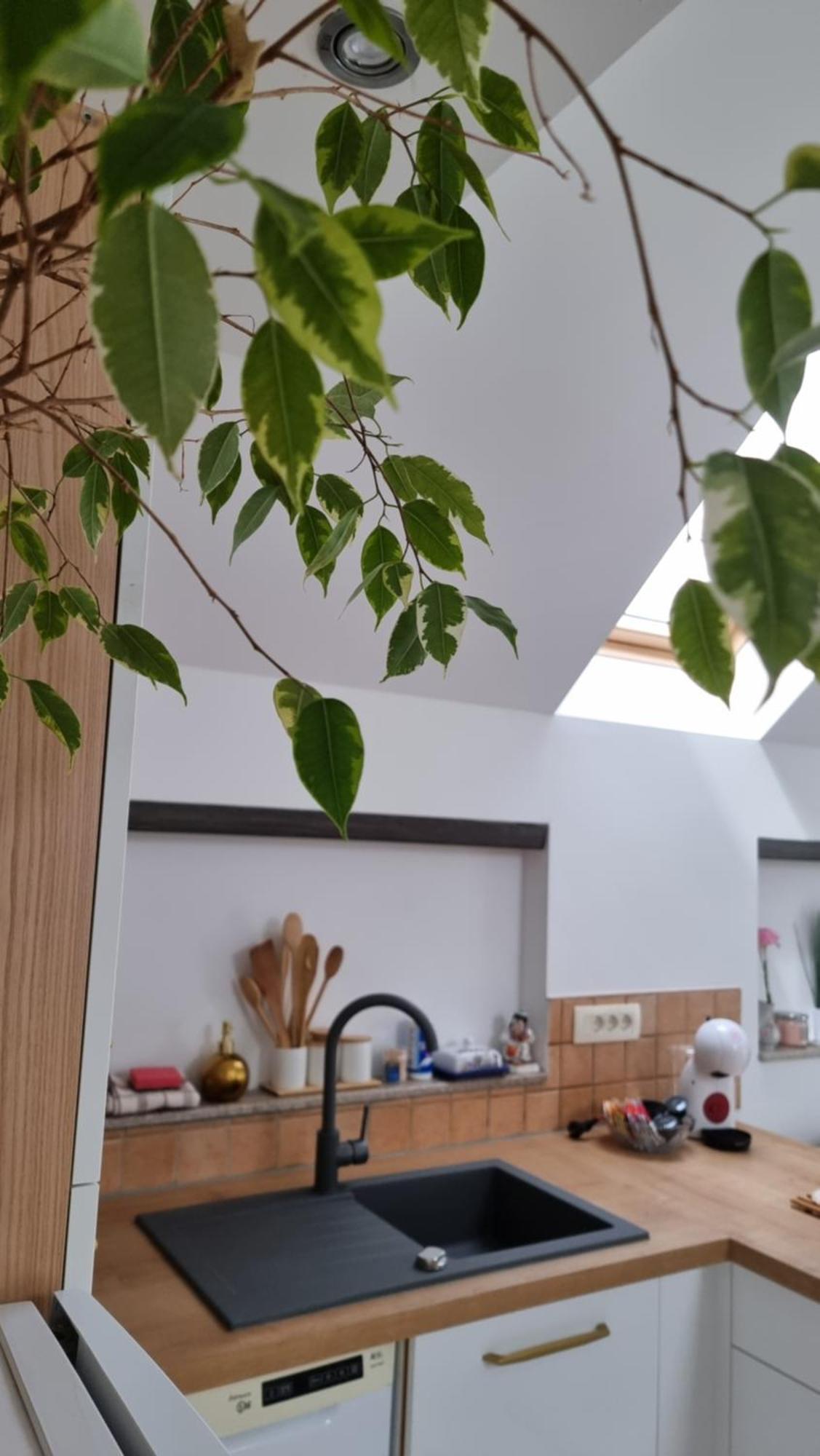 Apartma Katarina Bled Exterior photo
